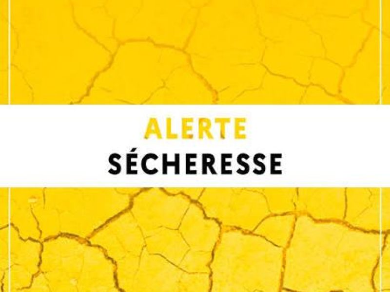 alerte sécheresse